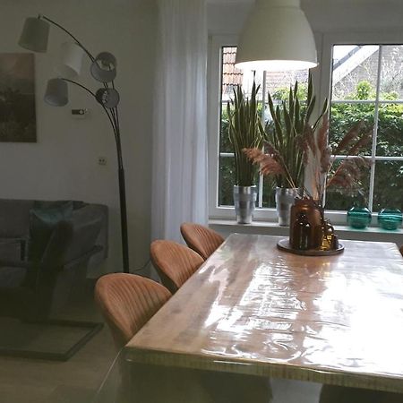 Willa Groot Familiehuis Voor 6 Personen In Landelijke, Rustige Omgeving Breezand Zewnętrze zdjęcie