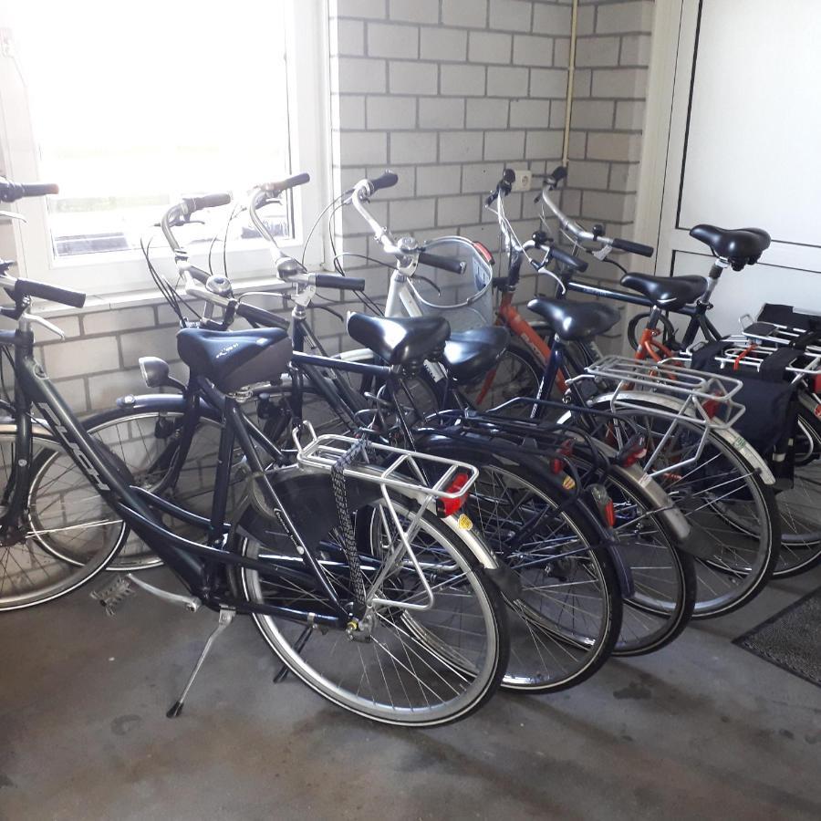 Willa Groot Familiehuis Voor 6 Personen In Landelijke, Rustige Omgeving Breezand Zewnętrze zdjęcie